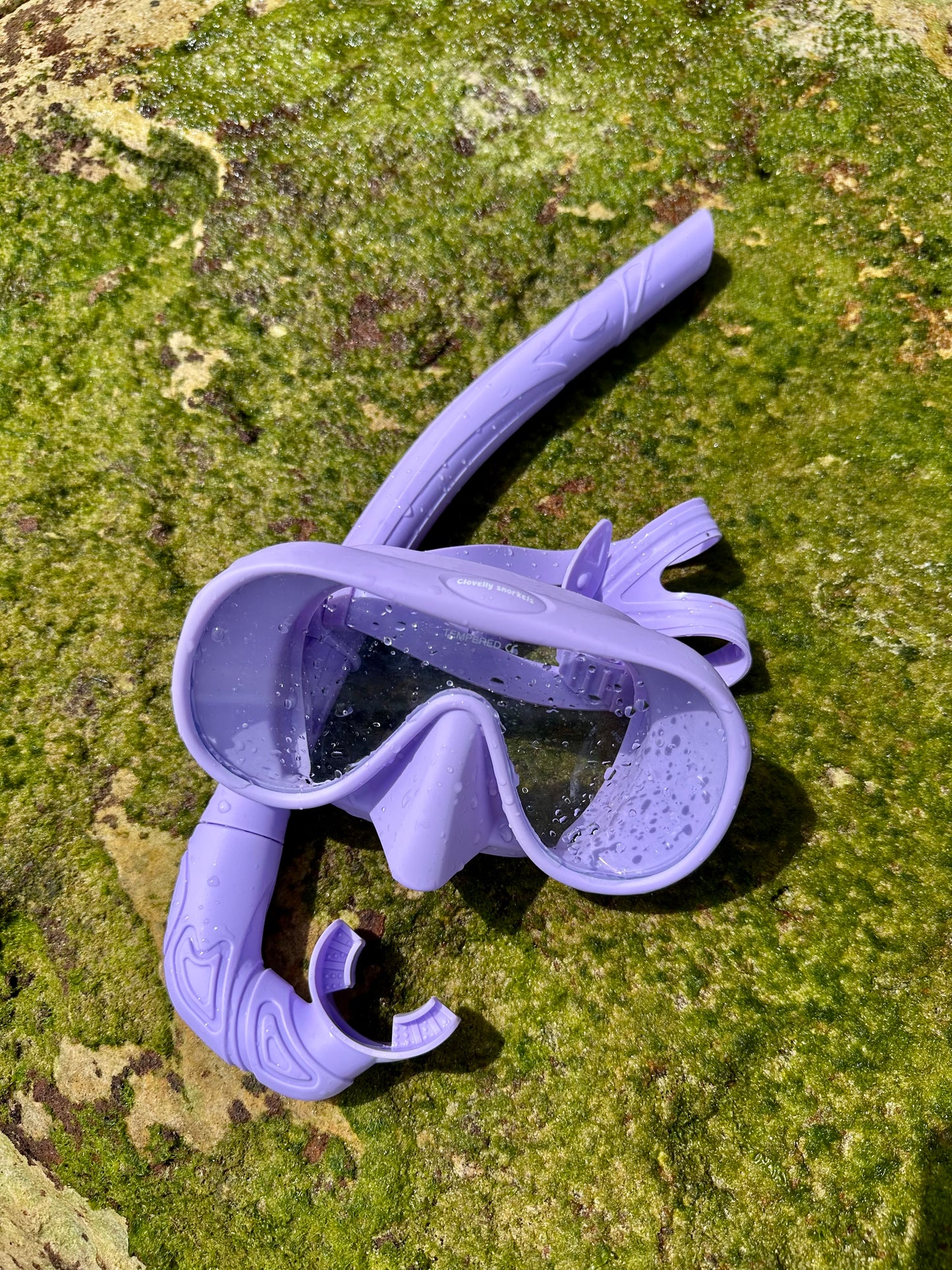 Snorkel Set Purple Cod