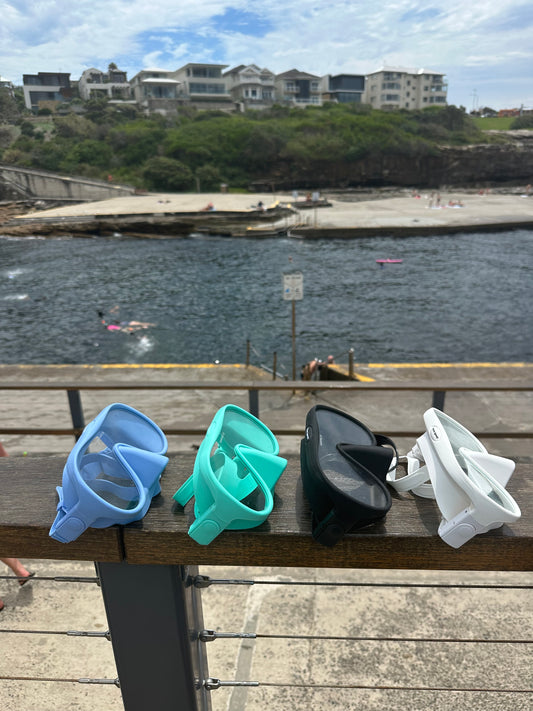 Day Hire Blue Grouper Snorkel