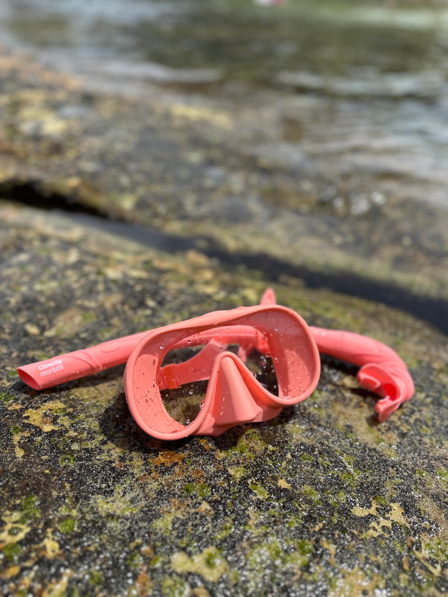Snorkel Set Pink Snapper
